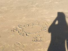 -日照海滨国家森林公园