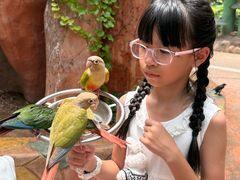 -灵玲国际马戏城