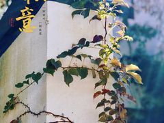 -水底山庄园温泉