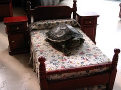 -苏州河梦清园环保主题公园