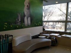 -美联众合动物医院·24h转诊中心