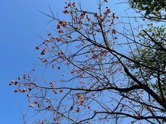 -青州市云门山风景区