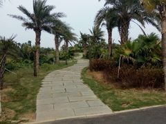 -瑶湖郊野森林公园