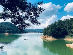 -广州市流溪河国家森林公园