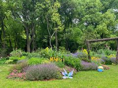 -上海共青森林公园