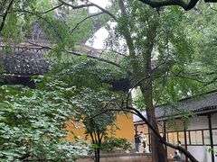 -西园戒幢律寺