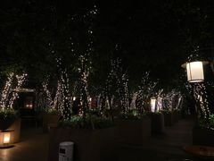 -风与炭BBQ户外火锅烧烤(成都群光君悦酒店)