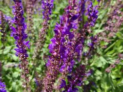 -汉长安城未央宫国家考古遗址公园