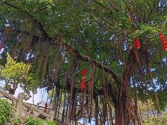 -船政文化景区-罗星塔公园