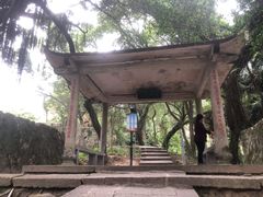 -青芝山风景名胜区