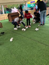 -萌宠亲子动物乐园(槐房万达店)