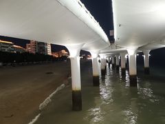 -演武大桥观景平台