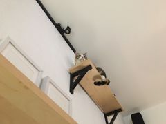 -隅cafe(傅厚岗店)