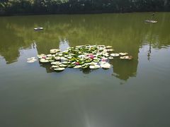 -前关湿地公园
