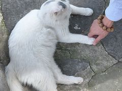 -宝通禅寺