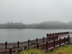 -海南热带雨林国家公园吊罗山景区