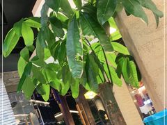 -印象江南(东栅店)
