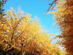 -辽宁大学(崇山校区)