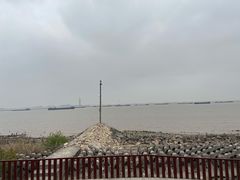 -上海滨江森林公园