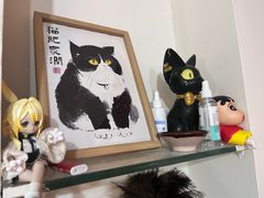 -楼上猫咖(罗湖店)