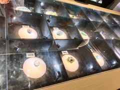 -陕西自然博物馆