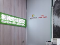 -瑞鹏宠物医院·微创内窥镜·骨外科·牙科(翠竹分院)