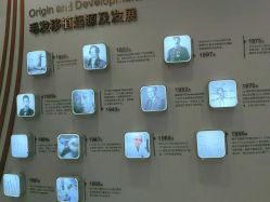 点击看大图 -新生植发·植养护一体