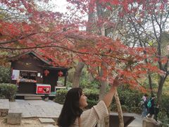 -南京市江宁方山