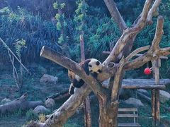 -宁波野生动物园