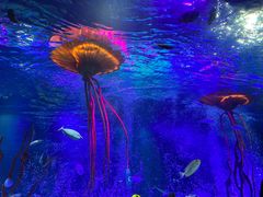 -沈阳海洋探索中心