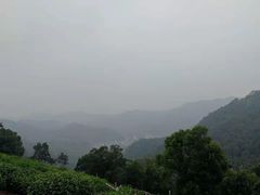 -西湖风景区十里琅珰-五云山