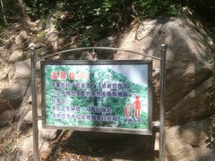 -大岭沟猕猴桃谷风景区