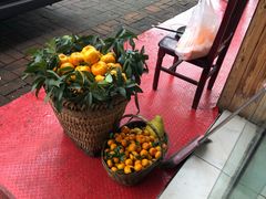 -余家庄肥肠鱼地方汤锅(银杏大道店)