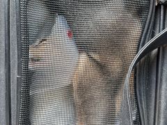 -伟伟宠物医院·瑞派猫友好医院·猫科(光谷店)