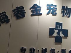 -睿金宠物医院·CT·肿瘤·骨外科