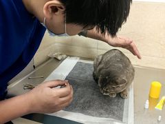 -仁华宠物医院(青羊店)