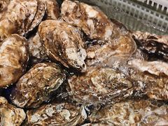 -老虎滩船说·海胆水饺·大连海鲜(老虎滩店)