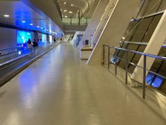 -合肥新桥国际机场-航站楼