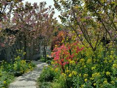 -南汇桃花村