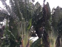 -白沙门生态公园