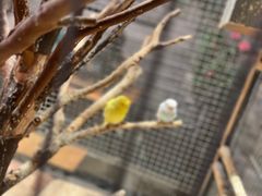 -时尚天河商业广场