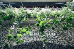 -晶浦会·宴会厅(陆家嘴店)