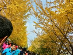 -辽宁大学(崇山校区)