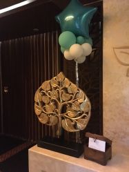 -香榭丽舍·海菲秀·皮肤管理痘敏肌修护