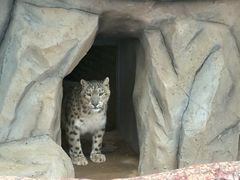-青藏高原野生动物园