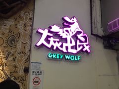 -大灰狼(中心书城店)