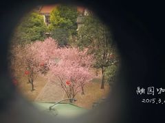 门面-融园咖啡馆(昙华林店)