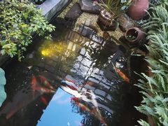 -花影小筑餐厅