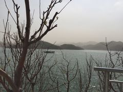 -望湖烤鱼