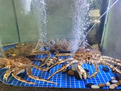 -熙瓏里(万科店)